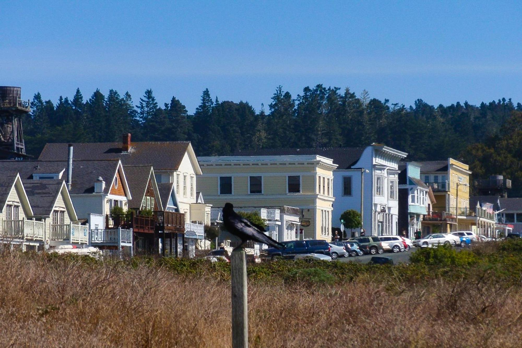 Mendocino Redwood Retreat - Vista Home Albion Exterior photo